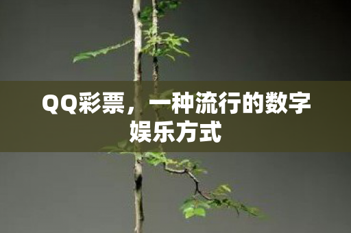 QQ彩票,一种流行的数字娱乐方式 QQ彩票,一种流行的数字娱乐方式