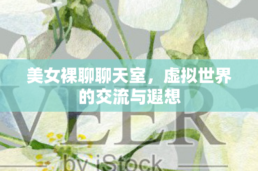 美女裸聊聊天室，虚拟世界的交流与遐想