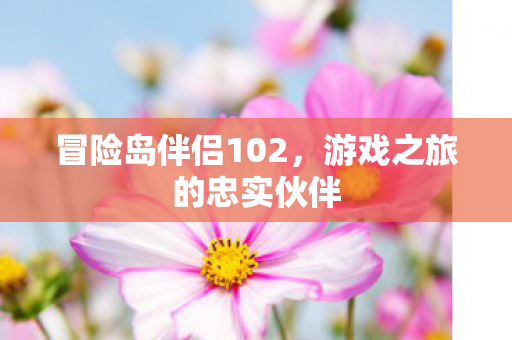 冒险岛伴侣102，游戏之旅的忠实伙伴