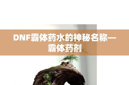 DNF霸体药水的神秘名称—霸体药剂