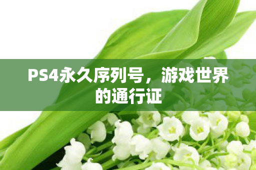 PS4永久序列号，游戏世界的通行证