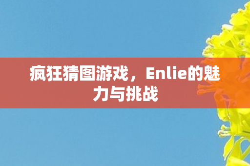 疯狂猜图游戏，Enlie的魅力与挑战