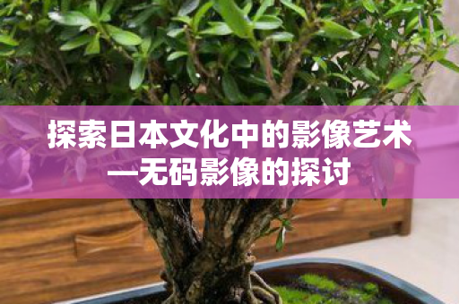探索日本文化中的影像艺术—无码影像的探讨