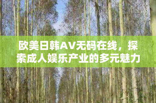 欧美日韩AV无码在线，探索成人娱乐产业的多元魅力