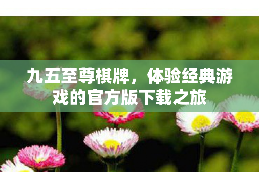 九五至尊棋牌，体验经典游戏的官方版下载之旅