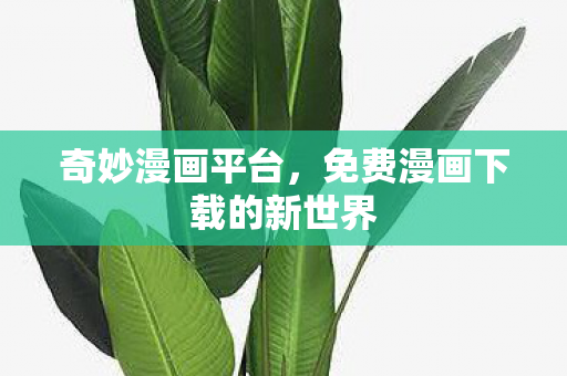 奇妙漫画平台，免费漫画下载的新世界