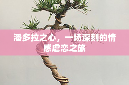 潘多拉之心，一场深刻的情感虐恋之旅