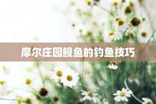 摩尔庄园鳗鱼的钓鱼技巧