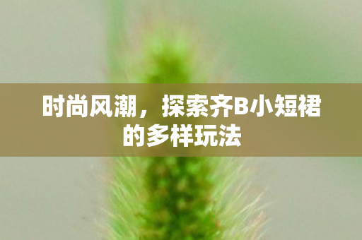 时尚风潮，探索齐B小短裙的多样玩法
