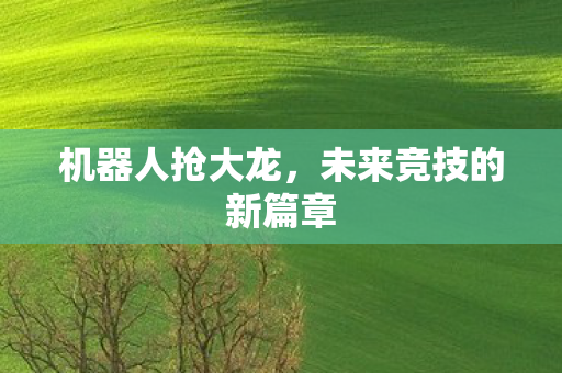 机器人抢大龙，未来竞技的新篇章