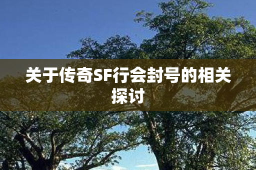 关于传奇SF行会封号的相关探讨