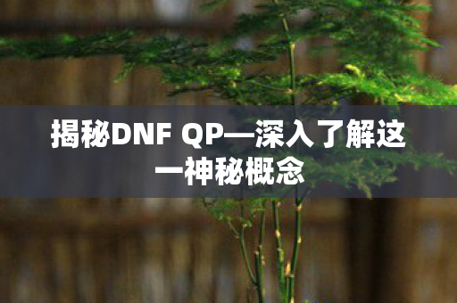 揭秘DNF QP—深入了解这一神秘概念