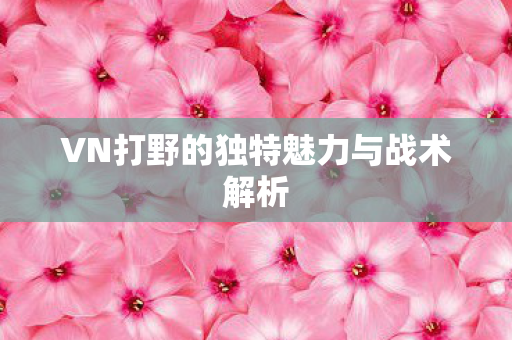 VN打野的独特魅力与战术解析