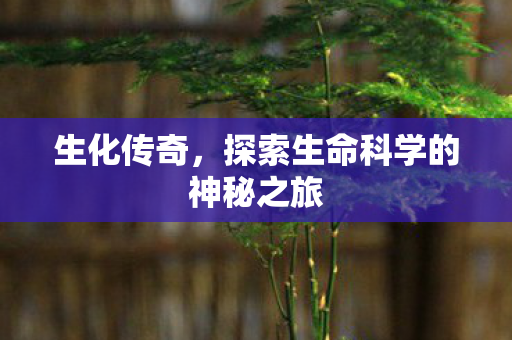 生化传奇，探索生命科学的神秘之旅