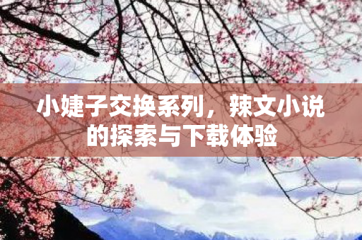 小婕子交换系列，辣文小说的探索与下载体验