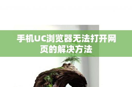 手机UC浏览器无法打开网页的解决方法