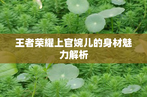 王者荣耀上官婉儿的身材魅力解析