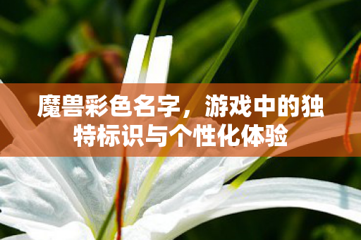 魔兽彩色名字，游戏中的独特标识与个性化体验