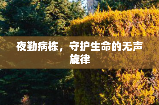 夜勤病栋，守护生命的无声旋律