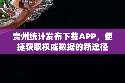 贵州统计发布下载APP，便捷获取权威数据的新途径