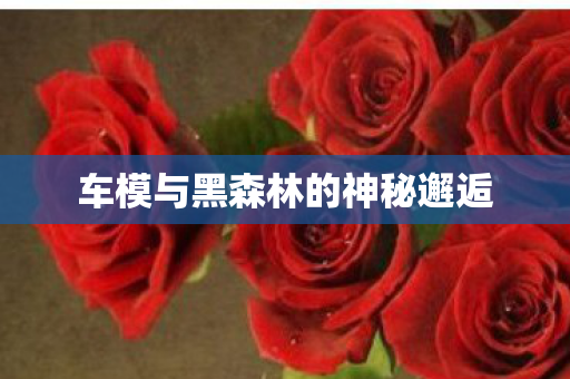 车模与黑森林的神秘邂逅