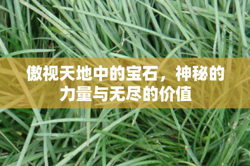 傲视天地中的宝石，神秘的力量与无尽的价值