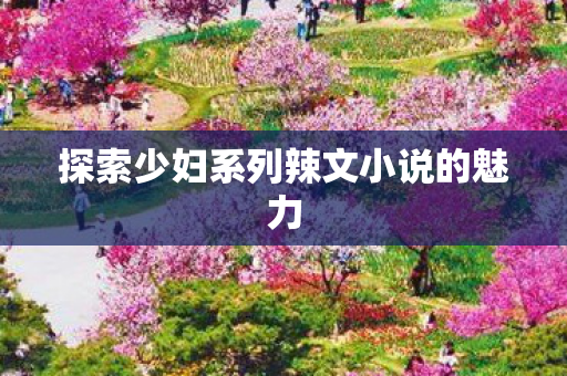探索少妇系列辣文小说的魅力