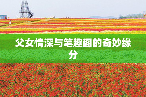 父女情深与笔趣阁的奇妙缘分