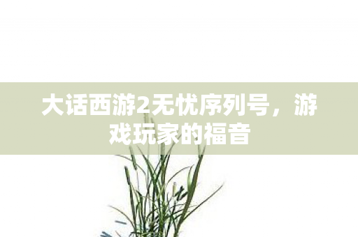 大话西游2无忧序列号，游戏玩家的福音