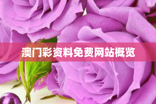 澳门彩资料免费网站概览