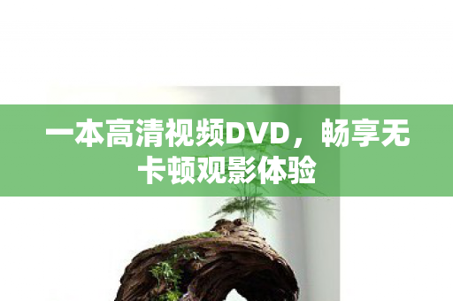 一本高清视频DVD，畅享无卡顿观影体验