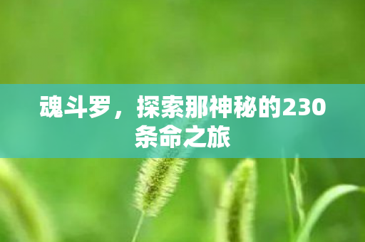 魂斗罗，探索那神秘的230条命之旅