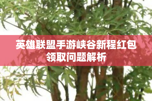 英雄联盟手游峡谷新程红包领取问题解析