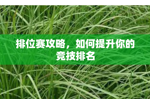 排位赛攻略，如何提升你的竞技排名