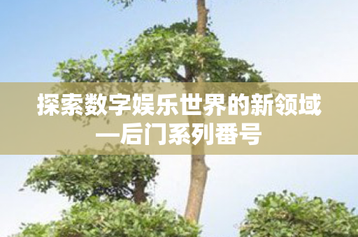 探索数字娱乐世界的新领域—后门系列番号