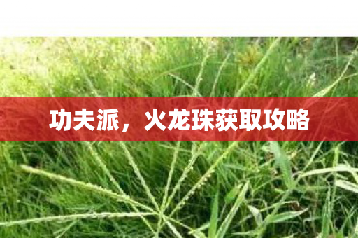 功夫派，火龙珠获取攻略