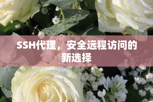 SSH代理，安全远程访问的新选择