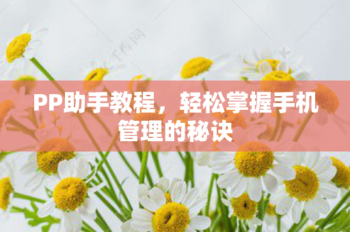 PP助手教程，轻松掌握手机管理的秘诀