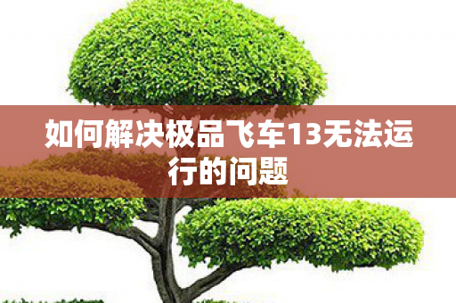 如何解决极品飞车13无法运行的问题