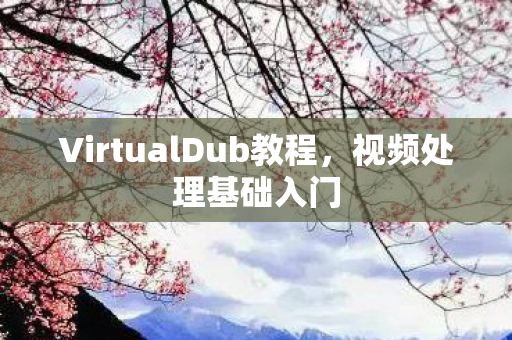 VirtualDub教程，视频处理基础入门