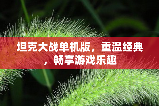 坦克大战单机版，重温经典，畅享游戏乐趣