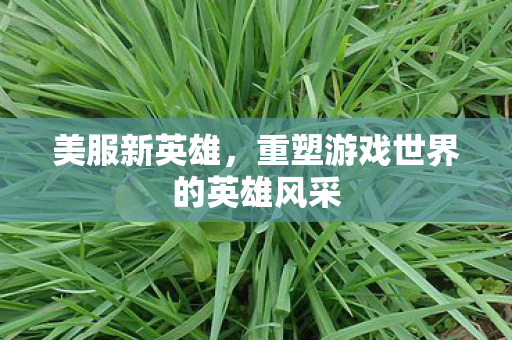美服新英雄，重塑游戏世界的英雄风采