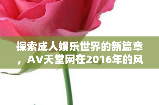 探索成人娱乐世界的新篇章，AV天堂网在2016年的风采