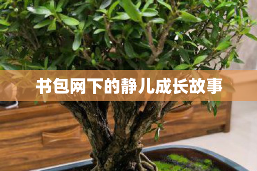 书包网下的静儿成长故事