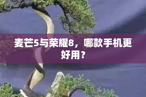 麦芒5与荣耀8，哪款手机更好用？