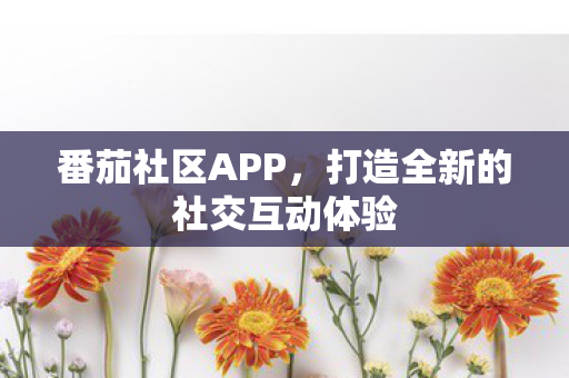 番茄社区APP，打造全新的社交互动体验