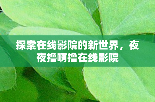 探索在线影院的新世界，夜夜撸啊撸在线影院