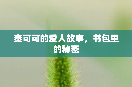 秦可可的爱人故事，书包里的秘密