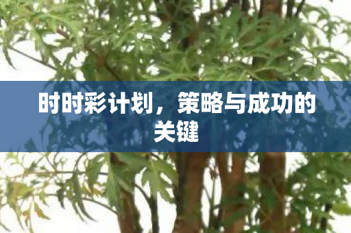 时时彩计划，策略与成功的关键