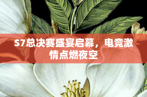 S7总决赛盛宴启幕，电竞激情点燃夜空